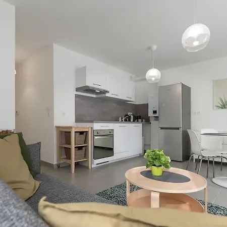 Cocon Decinois Groupama Parking Balcon Eurexpo Apartment *